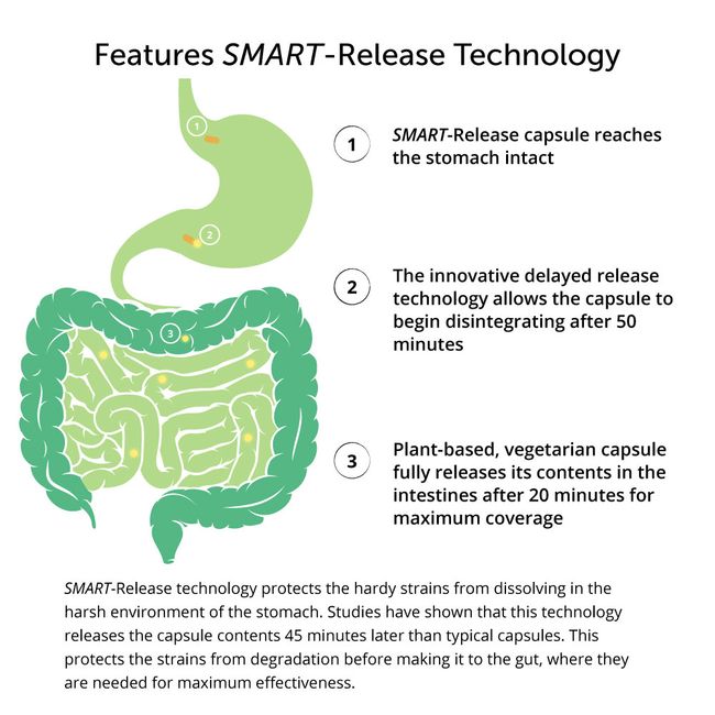 Gut Restore - LifeBiome | Healthy Directions