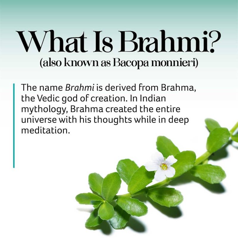 Prajna Ayurveda Brahmi (56 Vegan Capsules) | Healthy Directions