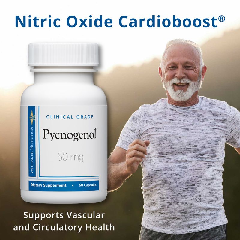 Clinical Grade Pycnogenol (50 mg, 60 Capsules) - Whitaker Nutrition