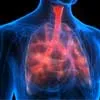 COPD and Your Heart—Know the Facts