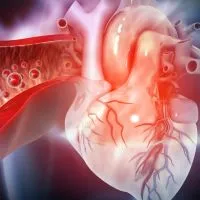 How Much Blood Is in the Human Body? How Much Blood Is in the Human Body?