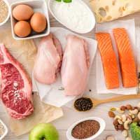 The Importance of Protein for Your Brain