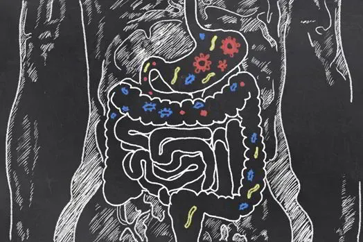 Read more about 8 Fun Facts About Your Digestive System