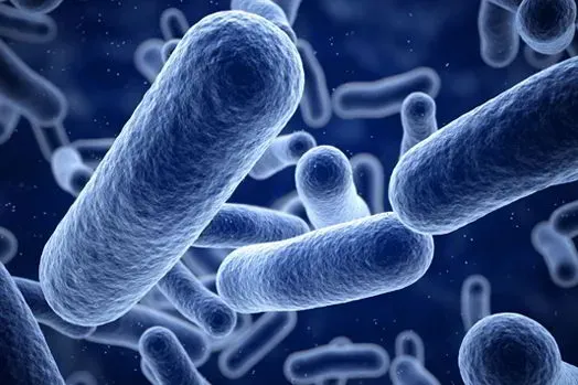 Read more about Everything You Need To Know About Choosing The Best Probiotic