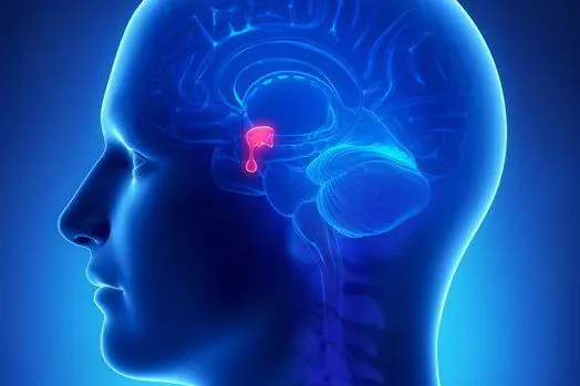 Continue reading the 'Growth Hormone Booster' blog post