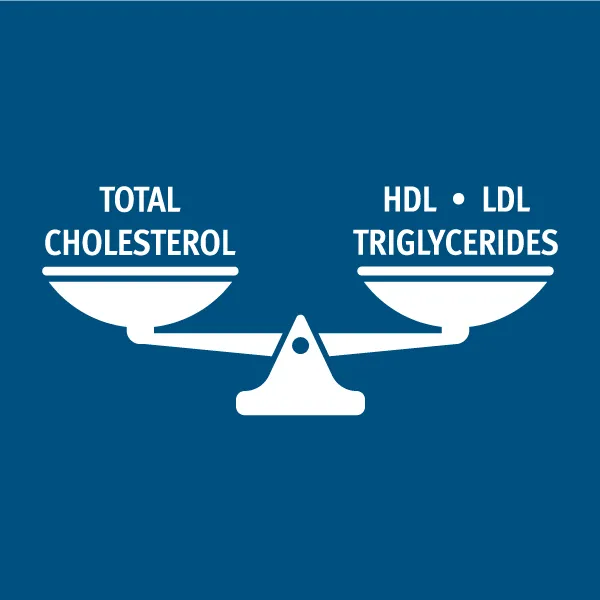 When it comes to cholesterol, balance is key